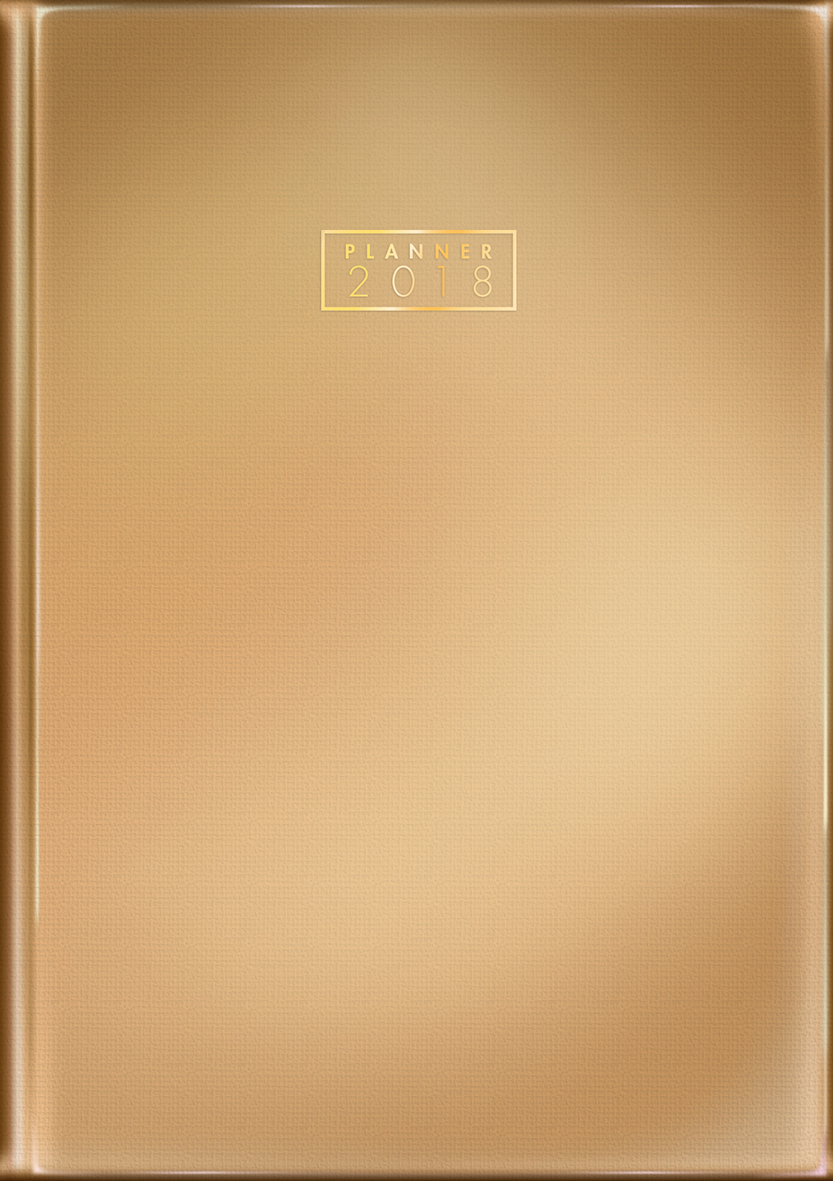 Imagem ilustrativa: Tilibra recebe troféu Ouro e certificado pelo segundo lugar durante premiação internacional Theobaldo de Nigris