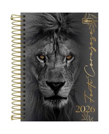 imagem principal do produto Agenda Espiral Diária 14,0 x 20,0 cm Louvor 2026