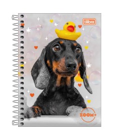 imagem principal do produto Caderneta Espiral Capa Dura 1/8 Zoom+ 96 Folhas