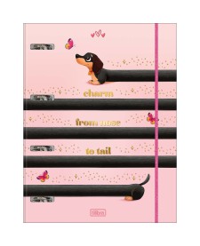 imagem principal do produto Caderno Argolado Cartonado Universitário com Elástico Brownie 48 Folhas