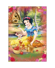 imagem principal do produto Caderno Brochura Capa Dura 1/4 Princesas 80 Folhas