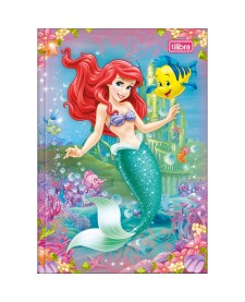 imagem principal do produto Caderno Brochura Capa Dura 1/4 Princesas 80 Folhas