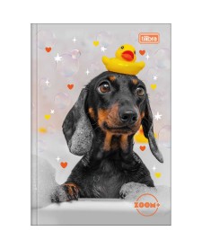 imagem principal do produto Caderno Brochura Capa Dura 1/4 Zoom+ Feminino 48 Folhas