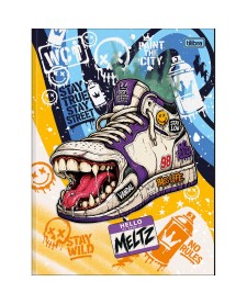 imagem principal do produto Caderno Brochura Capa Dura Universitário Meltz 80 Folhas