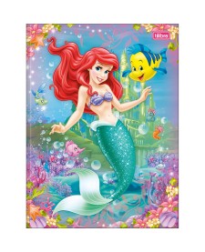 imagem principal do produto Caderno Brochura Capa Dura Universitário Princesas 48 Folhas