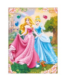 imagem principal do produto Caderno Brochura Capa Dura Universitário Princesas 48 Folhas
