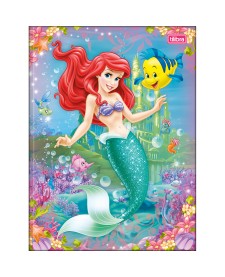 imagem principal do produto Caderno Brochura Capa Dura Universitário Princesas 80 Folhas