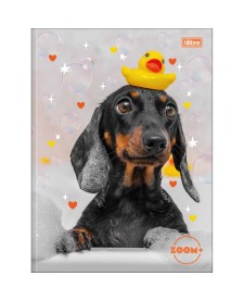 imagem principal do produto Caderno Brochura Capa Dura Universitário Zoom+ Feminino 96 Folhas