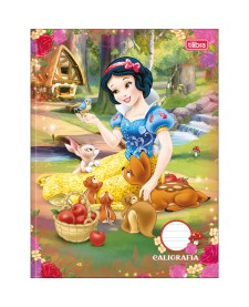 imagem principal do produto Caderno de Caligrafia Brochura Capa Dura Princesas 40 Folhas