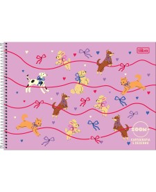 imagem principal do produto Caderno de Cartografia e Desenho Espiral Capa Dura Zoom+ Feminino 96 Folhas