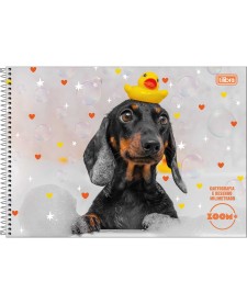 imagem principal do produto Caderno de Cartografia e Desenho Milimetrado Espiral Capa Dura Zoom+ Feminino 96 Folhas