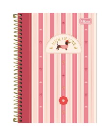 imagem principal do produto Caderno Espiral Capa Dura 1/4 Brownie 80 folhas