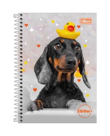 imagem principal do produto Caderno Espiral Capa Dura 1/4 Zoom+ Feminino 200 Folhas