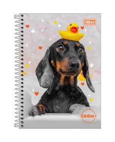 imagem principal do produto Caderno Espiral Capa Dura 1/4 Zoom+ Feminino 96 Folhas