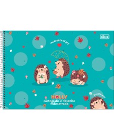 imagem principal do produto Caderno Espiral Capa Dura Cartografia e Desenho Milimetrado Holly 80 Folhas