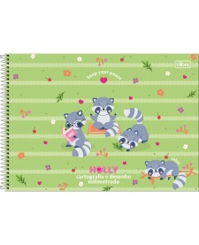 imagem principal do produto Caderno Espiral Capa Dura Cartografia e Desenho Milimetrado Holly 80 Folhas