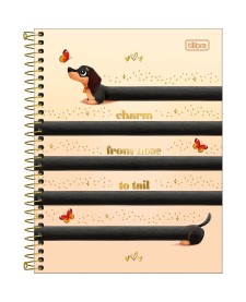 imagem principal do produto Caderno Espiral Capa Dura Colegial 10 Matérias Brownie 120 Folhas