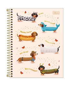 imagem principal do produto Caderno Espiral Capa Dura Colegial 10 Matérias Brownie 120 Folhas