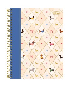 imagem principal do produto Caderno Espiral Capa Dura Colegial 10 Matérias Brownie 120 Folhas