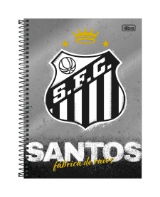 imagem principal do produto Caderno Espiral Capa Dura Universitário 10 Matérias Santos 160 Folhas