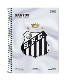 imagem principal do produto Caderno Espiral Capa Dura Universitário 10 Matérias Santos 160 Folhas