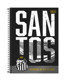imagem principal do produto Caderno Espiral Capa Dura Universitário 10 Matérias Santos 160 Folhas