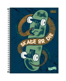 imagem principal do produto Caderno Espiral Capa Dura Universitário 12 Matérias Spice Masculino 192 Folhas