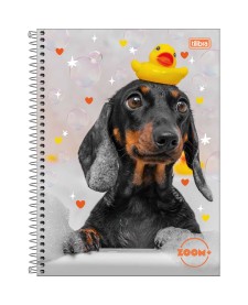 imagem principal do produto Caderno Espiral Capa Dura Universitário 20 Matérias Zoom+ Feminino 400 Folhas