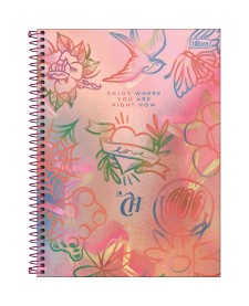 imagem principal do produto Caderno Espiral Capa Dura Universitário Connect 10 Matérias Capricho 160 Folhas