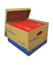 imagem principal do produto Caixa Organizadora Multiuso CM3