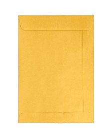 imagem principal do produto Envelope Saco Ouro KO17 110x170mm - Caixa com 500 Unidades