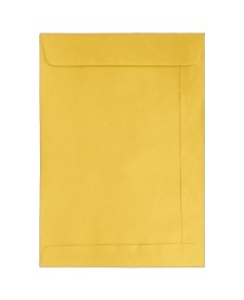 imagem principal do produto Envelope Saco Ouro KO34 240x340mm - Caixa com 100 Unidades