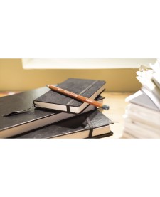 imagem de detalhe produto Lápis de Cor Permanente Drawing Unitário Yellow Ochre