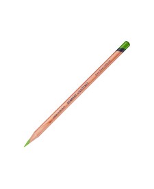 imagem principal do produto Lápis de Cor Permanente Lightfast Unitário Grass Green (70%)