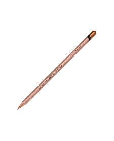 imagem principal do produto Lápis de Cor Permanente Metallic Unitário Bronze