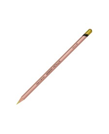 imagem principal do produto Lápis de Cor Permanente Metallic Unitário Yellow