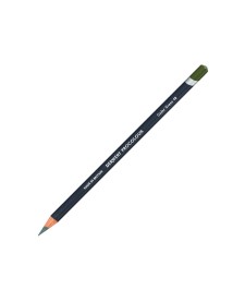 imagem principal do produto Lápis de Cor Permanente Procolour Unitário Cedar Green