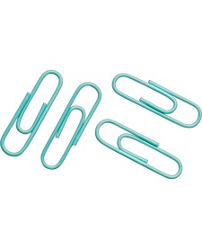 imagem principal do produto Porta Clips Magnético Aqua com 50 Unidades de Clips 28mm