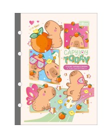 imagem principal do produto Refil Tiliflex para Caderno Argolado Colegial Capyclub 80 Folhas