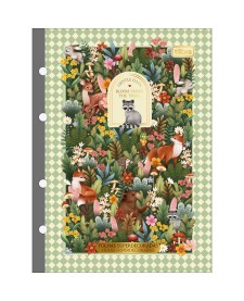 imagem principal do produto Refil Tiliflex para Caderno Argolado Colegial Loveland 80 Folhas