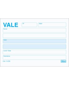 imagem principal do produto Vale sem Canhoto 100fls