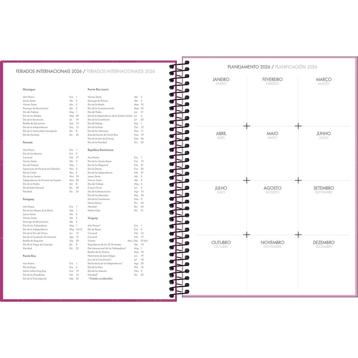 Agenda Executiva Espiral Diária 20 x 27,5 cm Spot Feminina 2025 Spot