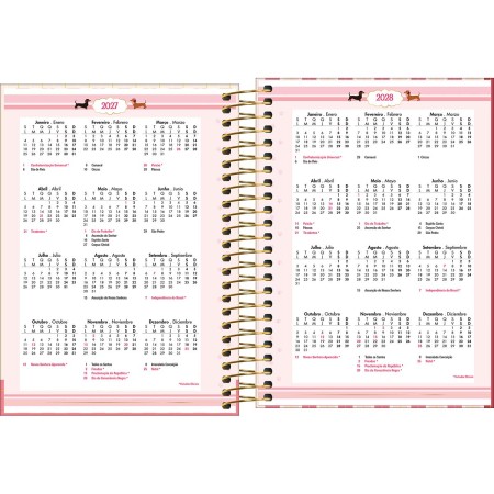 Foto ilustrativa Agenda Espiral M3 Brownie 2027