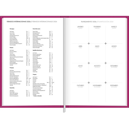 Foto ilustrativa Agenda Executiva Costurada Diária 13,4 x 19,2 cm Napoli Feminina 2026