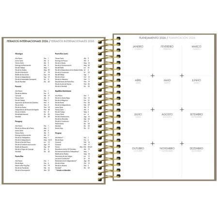 Foto ilustrativa Agenda Executiva Espiral Diária 12,9 x 18,7 cm Napoli Cores 2026