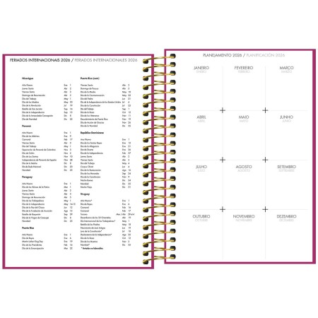 Foto ilustrativa Agenda Executiva Espiral Diária 12,9 x 18,7 cm Napoli Feminina 2026