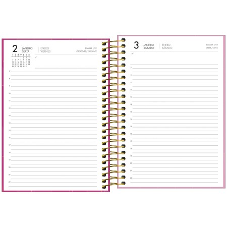 Foto ilustrativa Agenda Executiva Espiral Diária 129 x 187 cm Spot Feminina 2026
