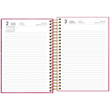 Foto ilustrativa Agenda Executiva Espiral Diária 129 x 187 cm Spot Feminina 2027