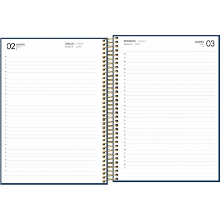 Foto ilustrativa Agenda Executiva Espiral Diária 20 x 27,5 cm Napoli Cores 2027