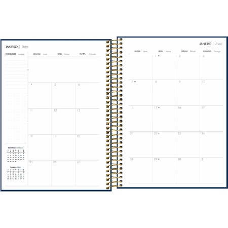 Foto ilustrativa Agenda Executiva Espiral Diária 20 x 27,5 cm Napoli Cores 2027